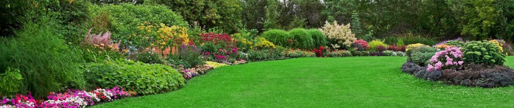 Ihr rundum Gardenservice für Ihre erholungs Oase, im grünen Garten. Top Gärten pflegt Gärten mit langjähriger Erfahrungen.